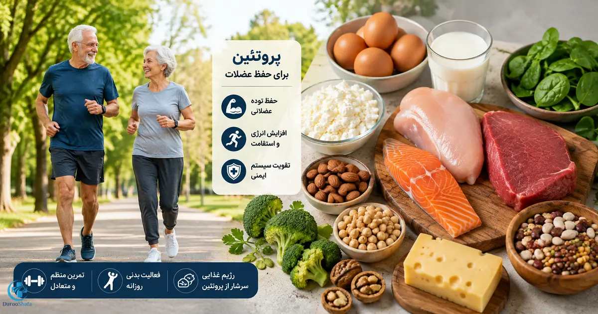 سالمندان فعال در کنار منابع پروتئینی مناسب برای حفظ توده عضلانی