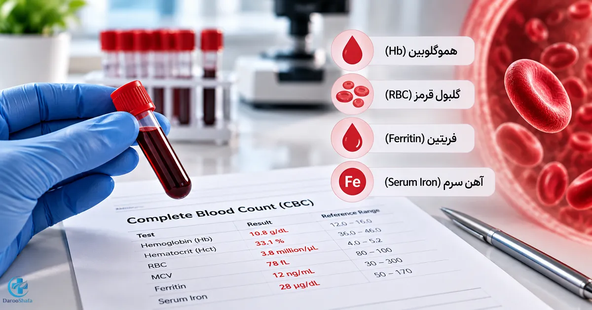 آزمایش CBC هموگلوبین و فریتین برای بررسی کم خونی و پاسخ به درمان آهن