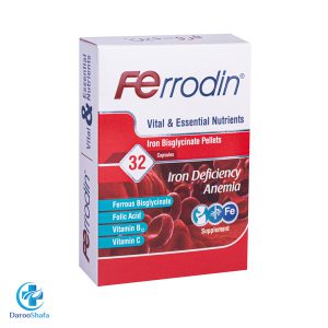 فرودین هولیستیکا