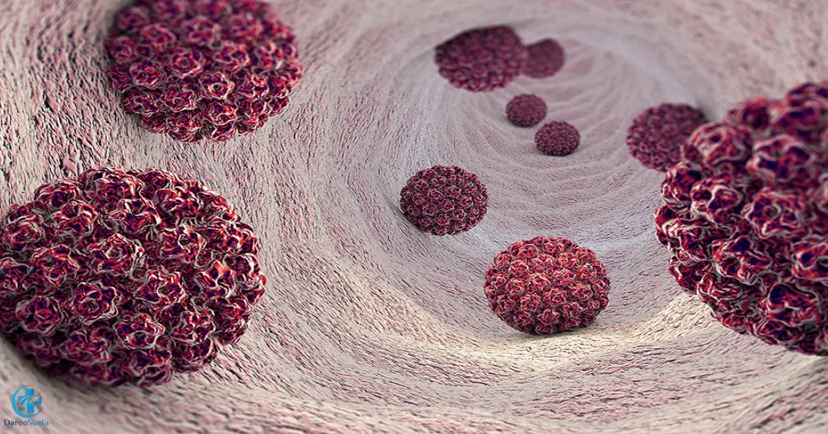 مطالعات علمی درباره ارتباط AHCC و پاسخ ایمنی در برابر HPV