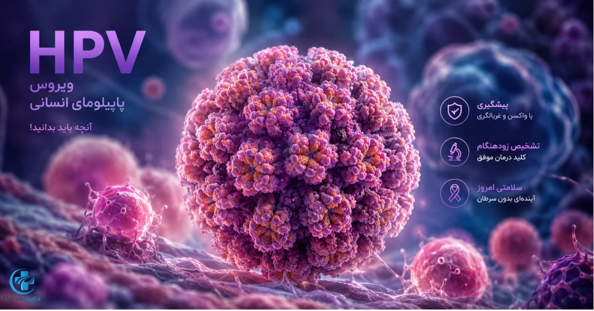نمای شماتیک ویروس HPV (ویروس پاپیلومای انسانی) عامل ایجاد زگیل تناسلی و برخی بیماری‌ های مرتبط