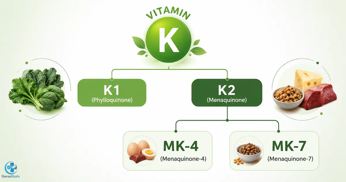 تفاوت ویتامین K1 و K2 و معرفی انواع ویتامین K2 شامل MK-4 و MK-7