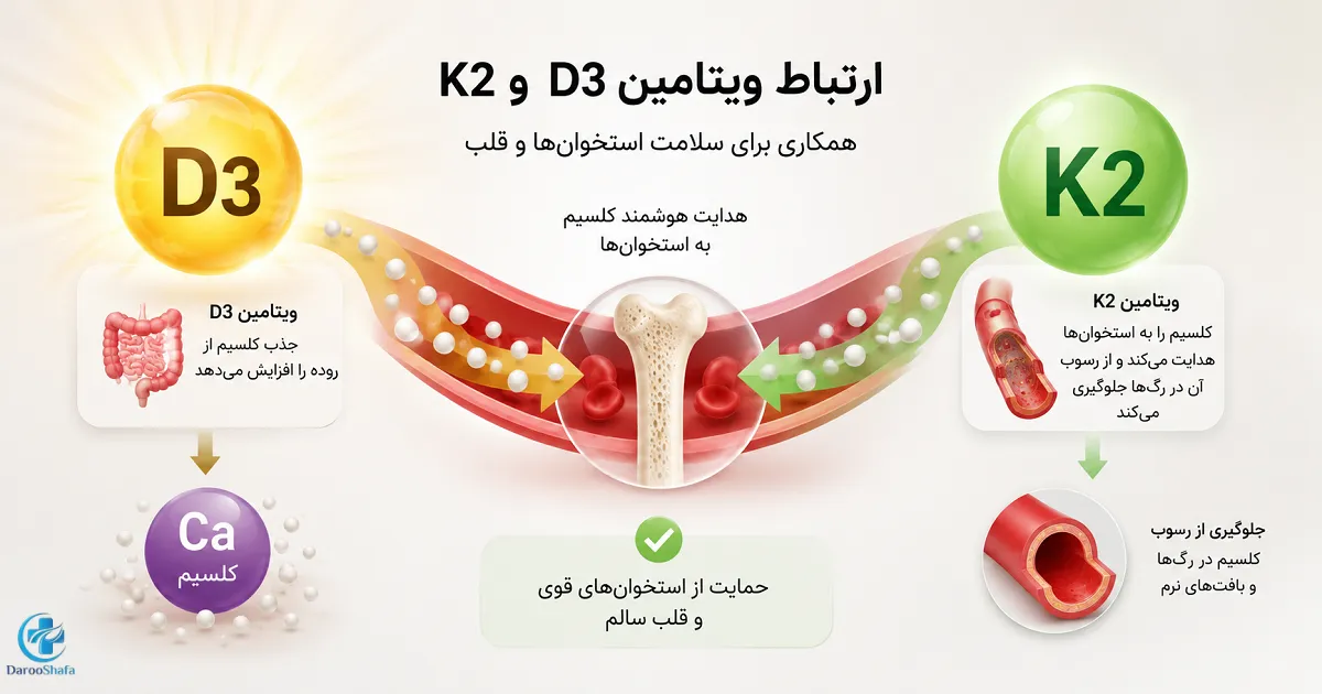 ارتباط ویتامین D3 و K2 در جذب کلسیم و حمایت از سلامت استخوان