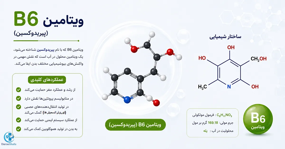 اینفوگرافیک ویتامین B6 شامل ساختار شیمیایی و عملکردهای مهم آن در بدن