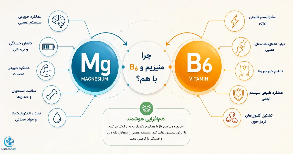 اینفوگرافیک فواید و نقش منیزیم و ویتامین B6 و دلیل مصرف همزمان آنها