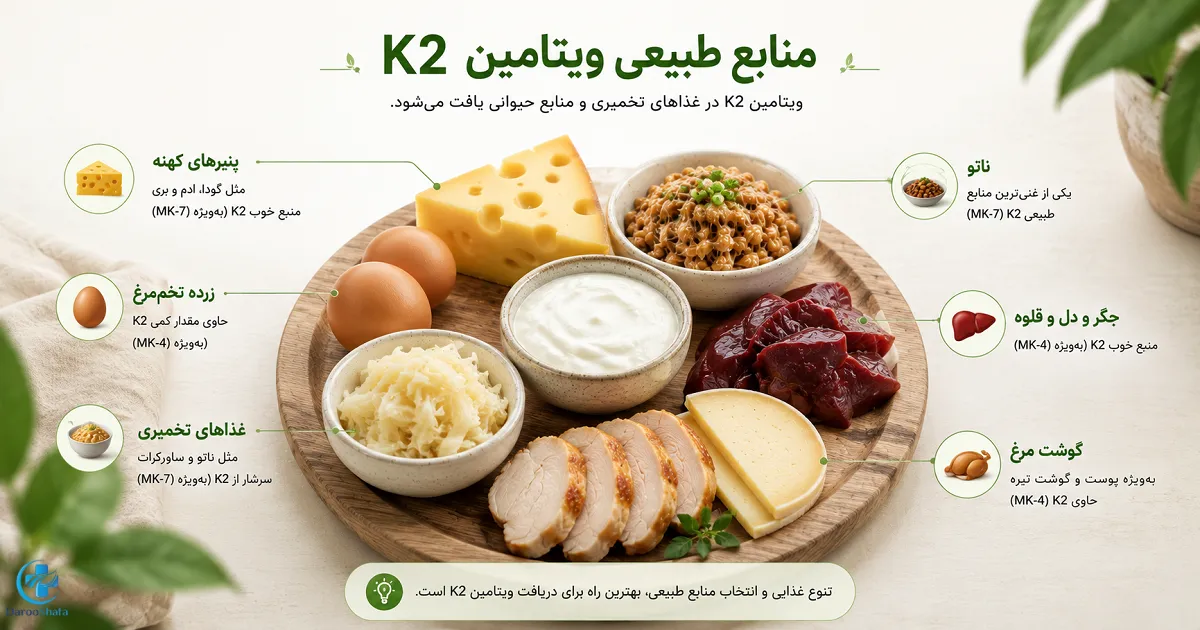 منابع غذایی ویتامین K2 شامل ناتو، پنیر، غذاهای تخمیری، زرده تخم مرغ، جگر و گوشت مرغ