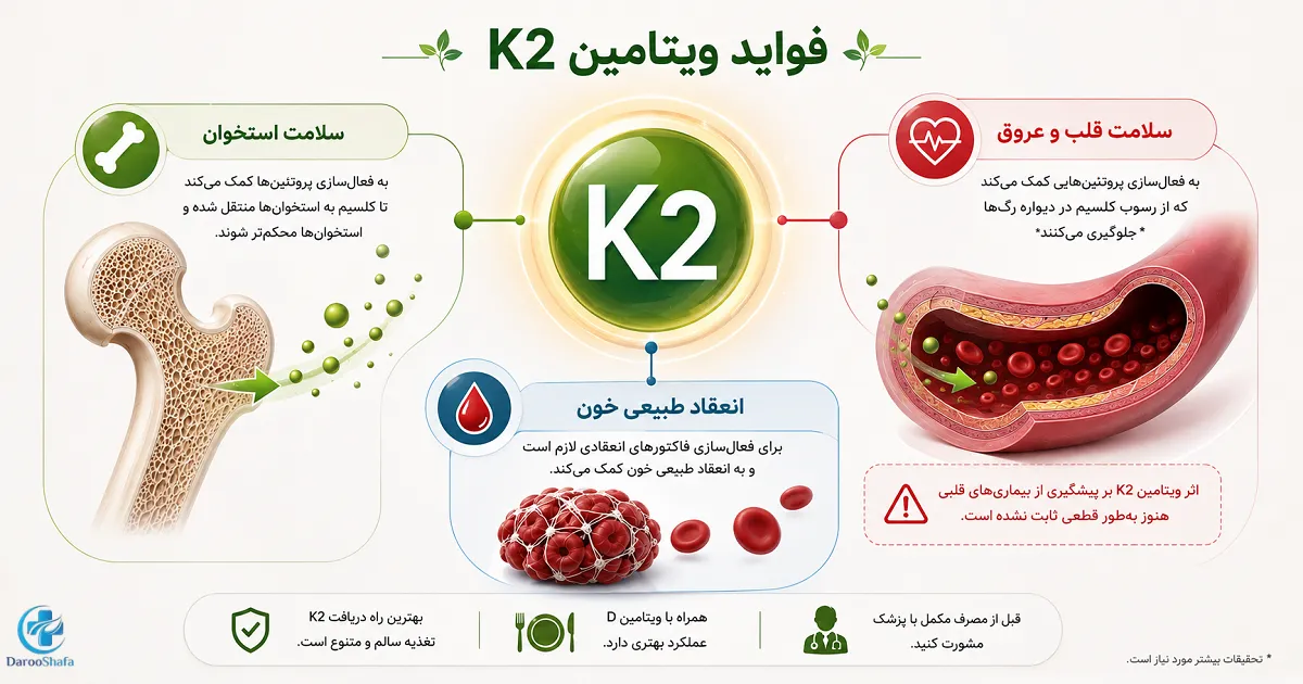 اینفوگرافیک فواید ویتامین K2 برای سلامت استخوان، انعقاد طبیعی خون و پروتئین های مرتبط با عروق