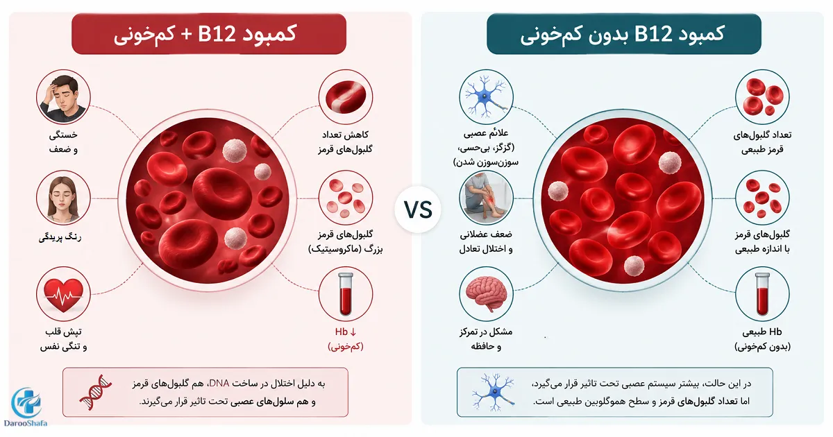 مقایسه کمبود ویتامین B12 همراه با کم خونی و کمبود B12 بدون کم خونی