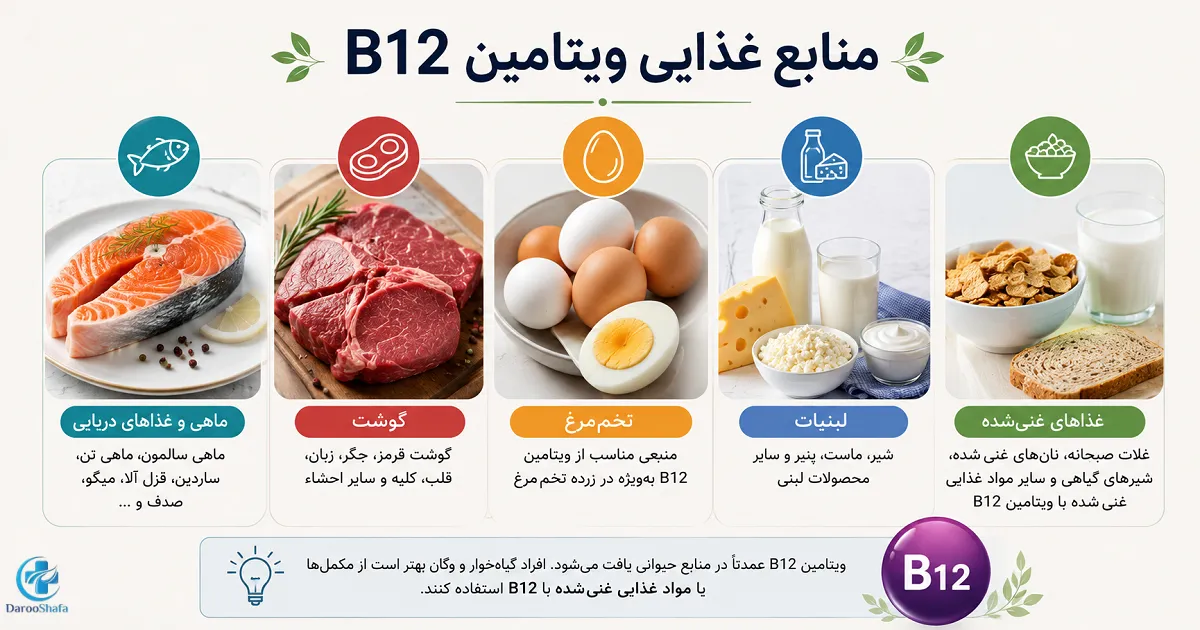 منابع غذایی ویتامین B12 شامل ماهی، گوشت، تخم مرغ، لبنیات و غذاهای غنی شده