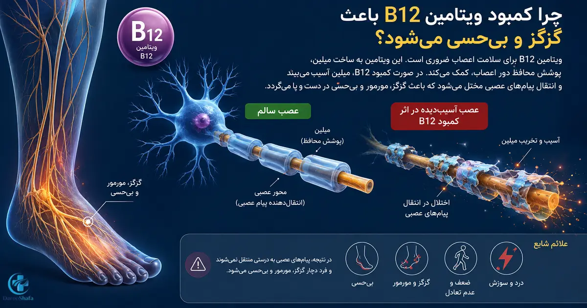 آسیب اعصاب و غلاف میلین در اثر کمبود ویتامین B12