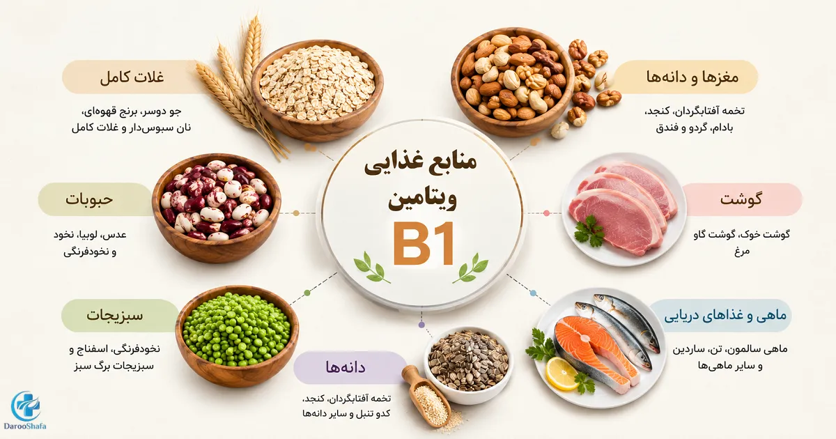 اینفوگرافیک منابع غذایی ویتامین B1 شامل غلات کامل، حبوبات، مغزها و دانه‌ ها، گوشت، ماهی و سبزیجات