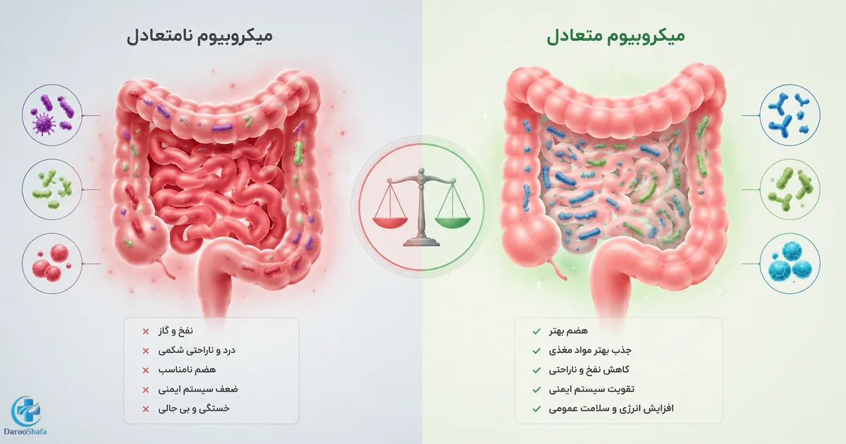 مقایسه میکروبیوم متعادل و نامتعادل روده و ارتباط آن با نفخ و مشکلات گوارشی