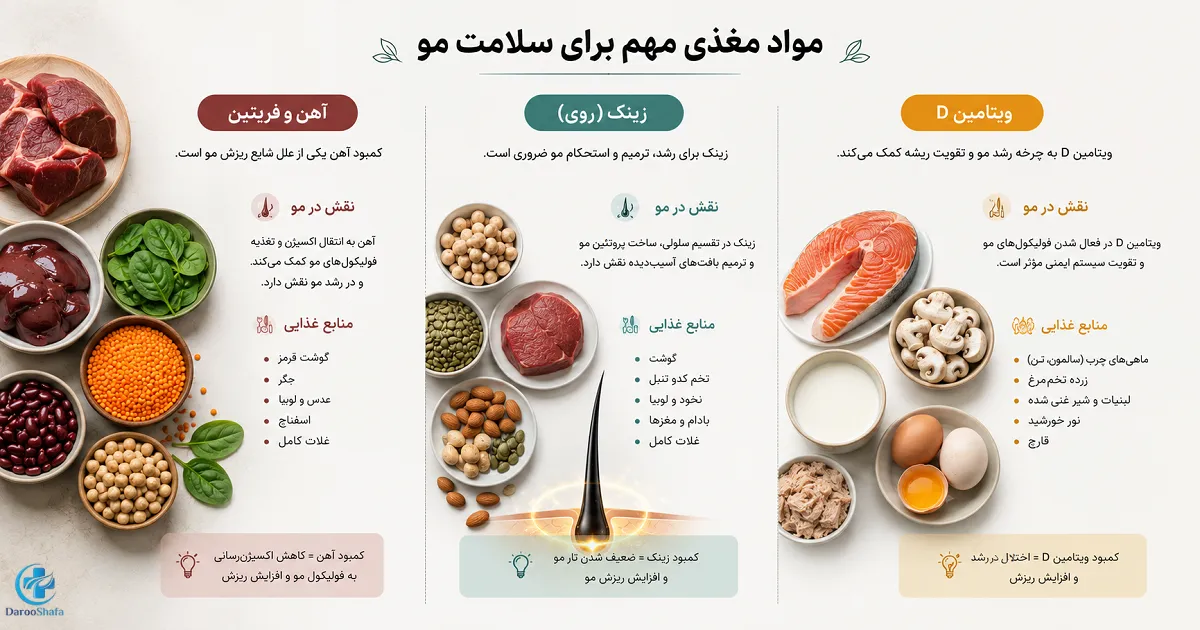 منابع غذایی آهن، زینک و ویتامین D و نقش آنها در سلامت مو