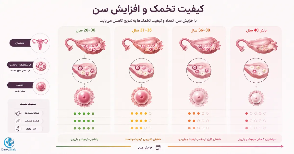 کاهش تعداد و کیفیت تخمک با افزایش سن و تغییرات تخمدان