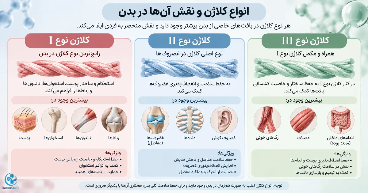 انواع کلاژن برای افراد بالای ۴۰ سال شامل کلاژن نوع ۱، نوع ۲ و نوع ۳