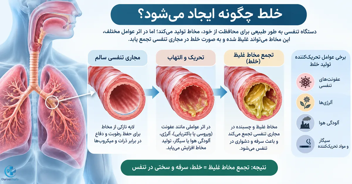 نحوه ایجاد خلط غلیظ در ریه و مجاری تنفسی بر اثر التهاب و عوامل تحریک‌ کننده