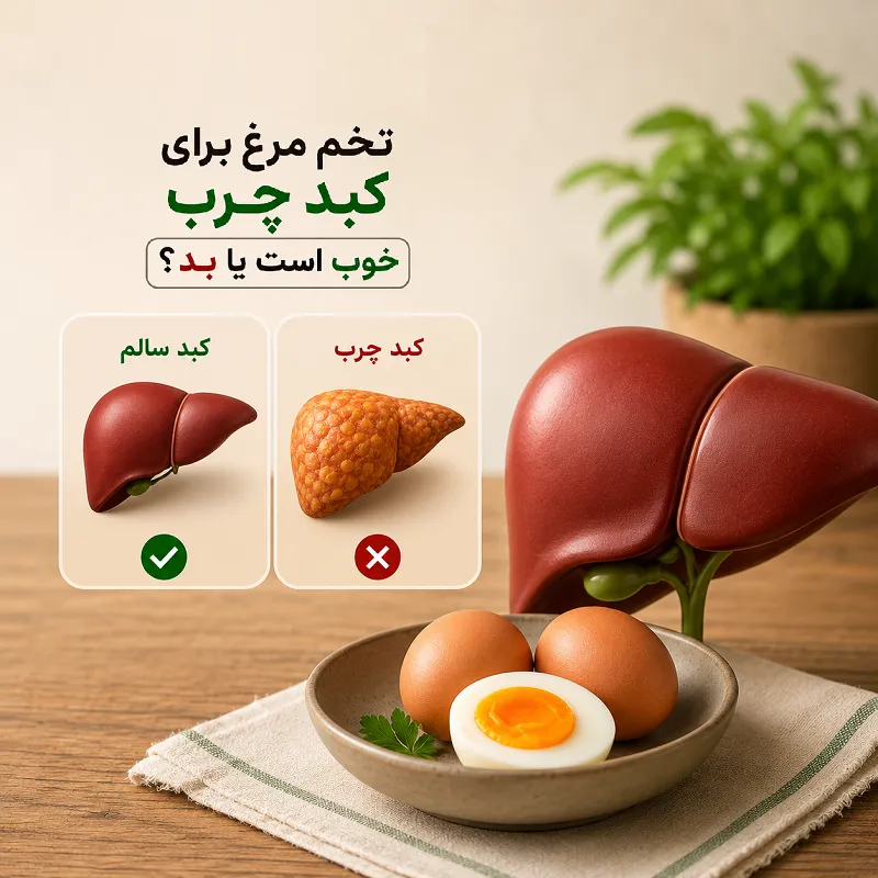 تخم مرغ برای کبد چرب خوب است یا بد و تاثیر مصرف آن بر سلامت کبد