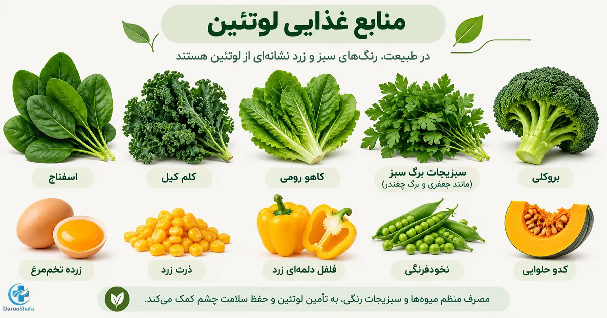 منابع غذایی لوتئین شامل اسفناج، کلم کیل، کاهو، بروکلی، ذرت، فلفل زرد و زرده تخم مرغ