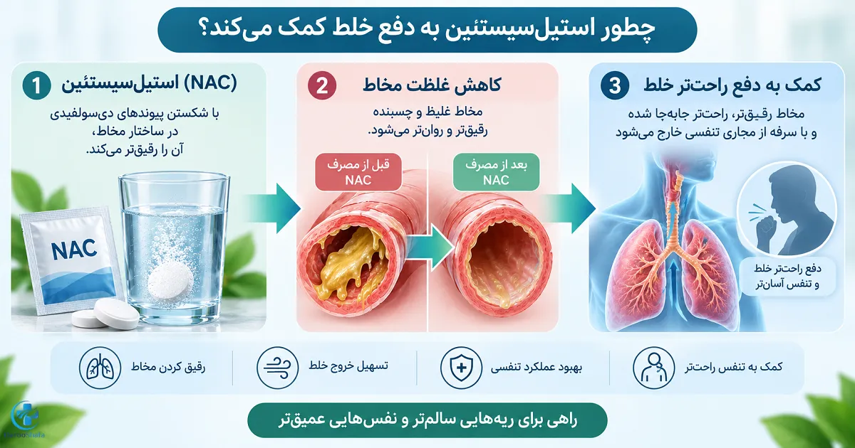 نحوه عملکرد استیل سیستئین NAC برای رقیق کردن خلط و کمک به دفع ترشحات تنفسی