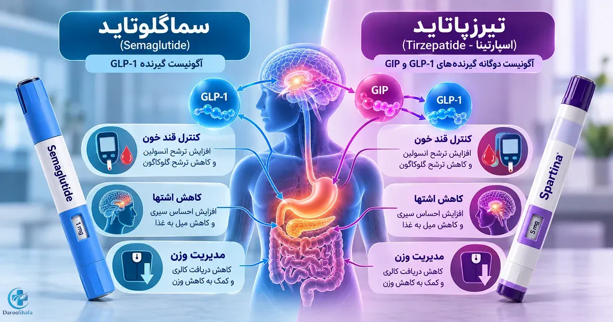 تفاوت مکانیسم سماگلوتاید و تیرزپاتاید در اثر بر GLP-1 و GIP، کنترل قند خون، اشتها و وزن