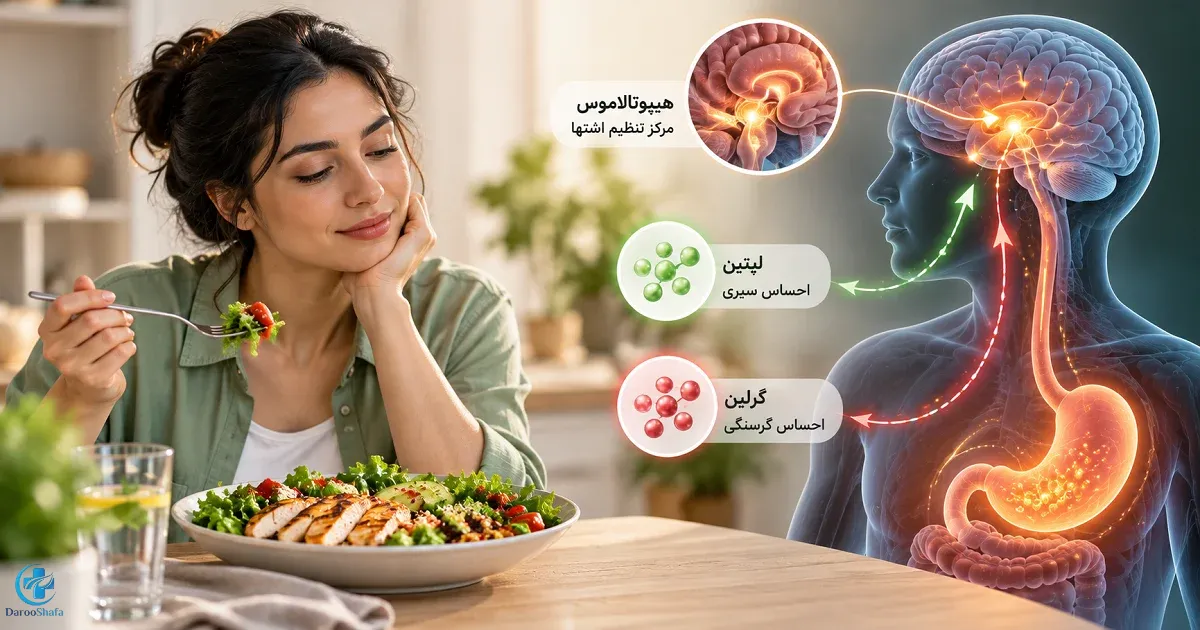 مکانیسم کنترل اشتها و احساس گرسنگی و سیری در مغز و دستگاه گوارش